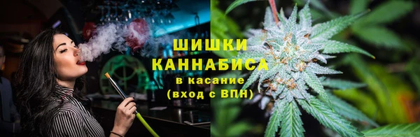 PSILOCYBIN Кукмор