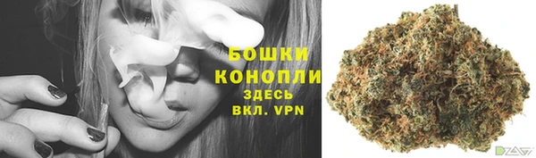 PSILOCYBIN Кукмор
