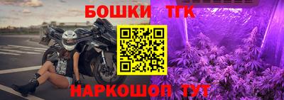 спиды Гатчина
