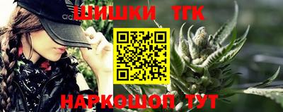 спиды Гатчина