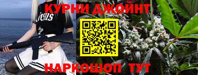 спиды Гатчина