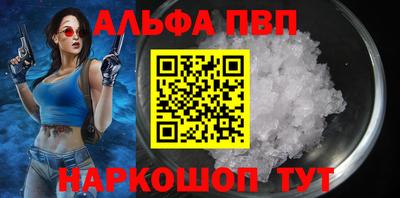 спиды Гатчина