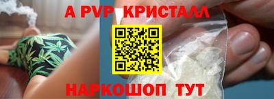 спиды Гатчина