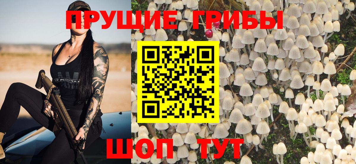 Карасук  Псилоцибиновые грибы GOLDEN TEACHER  Вход с VPN 