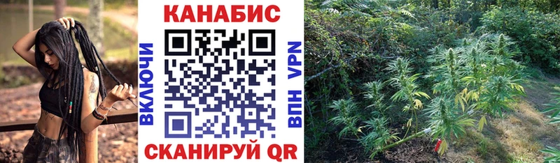 ссылка на мегу ONION  Карасук  Конопля SATIVA & INDICA  наркотики 